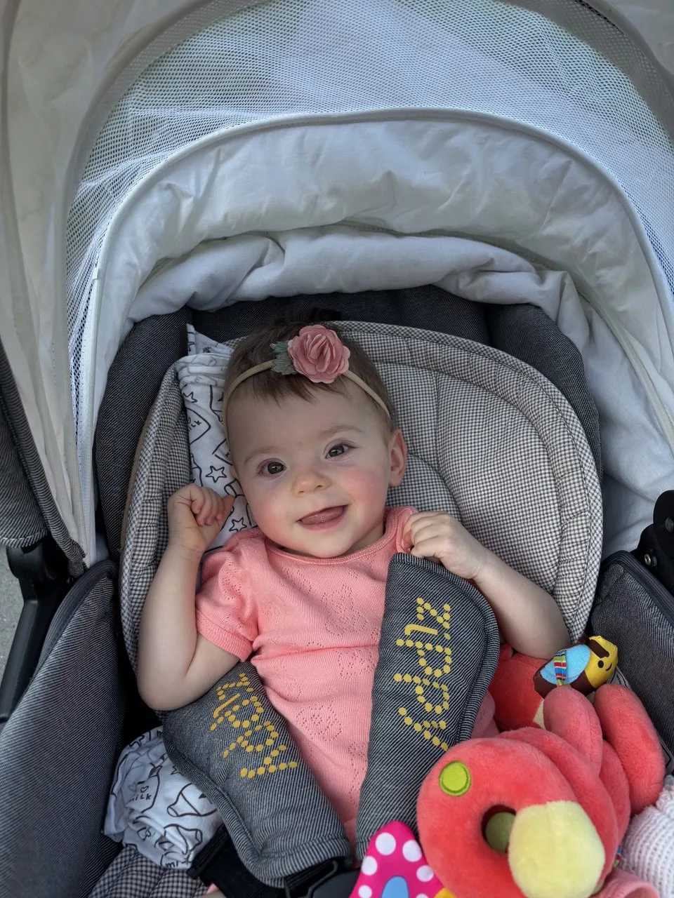 Смотреть фотографию